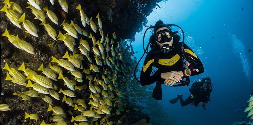 Schnuppertauchen in Hurghada