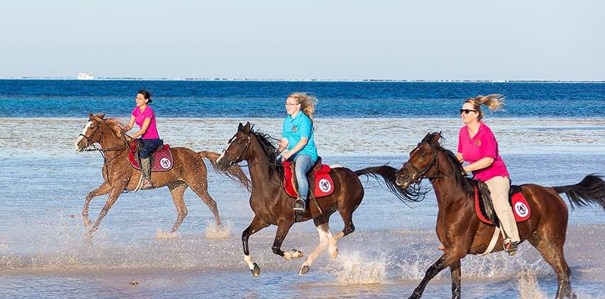 Reiten am Strand und in der Wüste von Hurghada